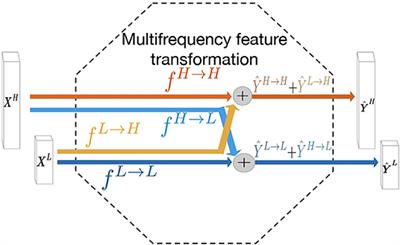 Accurate Tumor Segmentation via Octave Convolution Neural Network